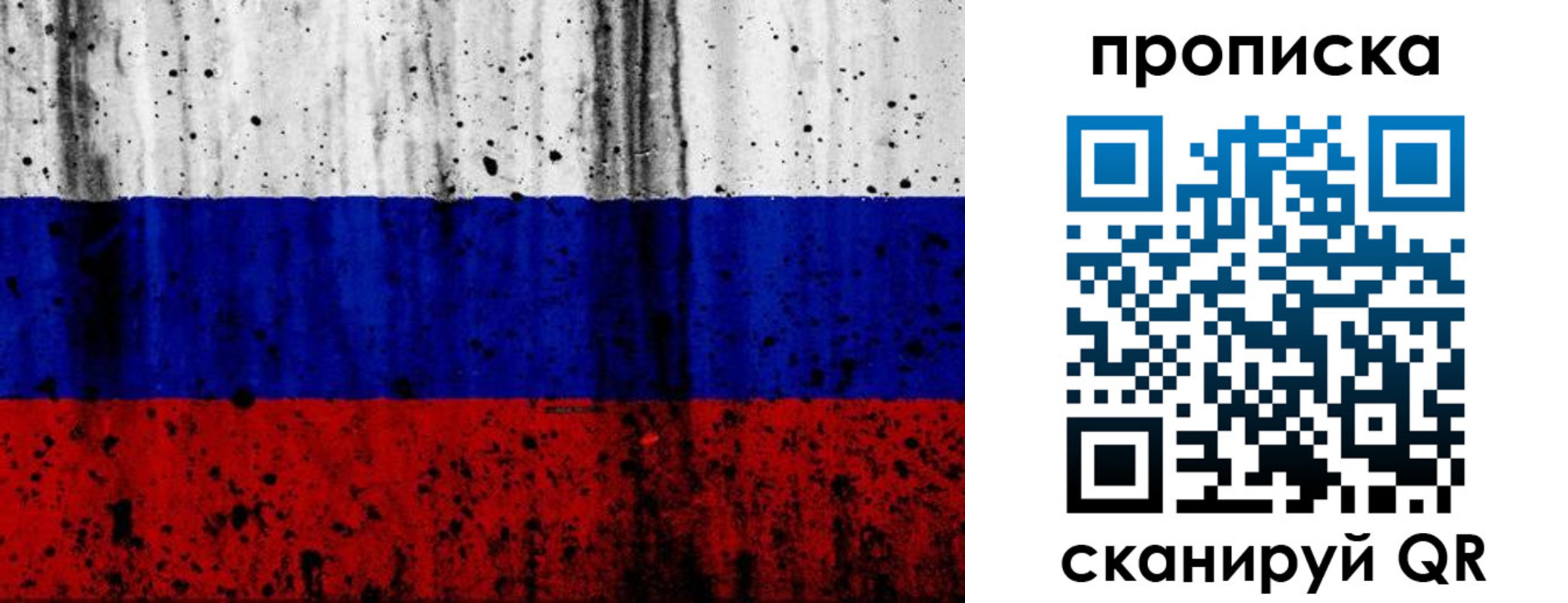 прописка поиск в Холмске